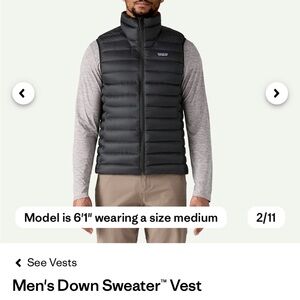 Patagonia Men's Vest